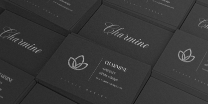 Castina Editorial Blur Script Font Poster 4
