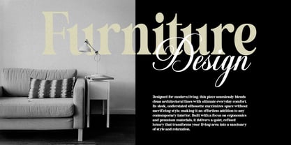 Castina Editorial Blur Script Font Poster 5