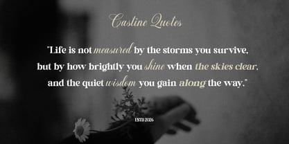 Castina Editorial Blur Script Font Poster 6