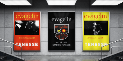 Meysee Font Poster 4
