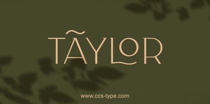 CCS Taylor Font Poster 1