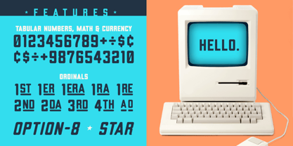 Bearhug Font Poster 5