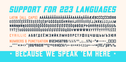 Bearhug Font Poster 9