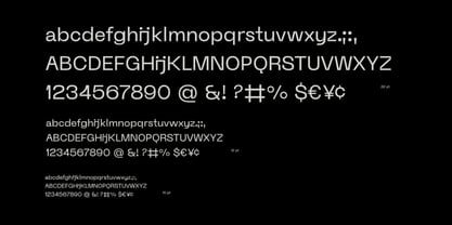 ID Clarwe Mono Font Poster 4