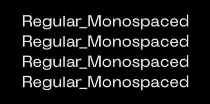 ID Clarwe Mono Font Poster 2