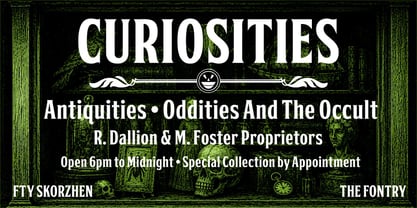 FTY SKORZHEN Font Poster 2