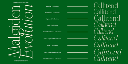 Malgiden Evolution Font Poster 3