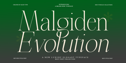 Malgiden Evolution Font Poster 1