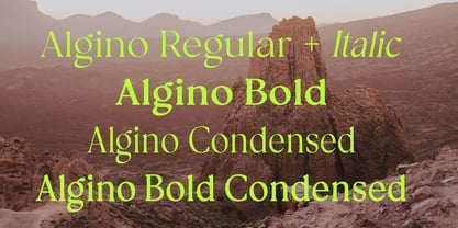 Algino Font Poster 5