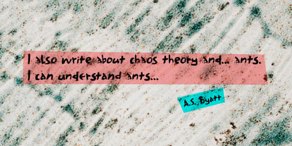 Chaos Manual Pro Font Poster 4