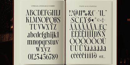 Dh Alista Aghni Font Poster 13