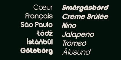 Vernosa Variable Font Poster 10