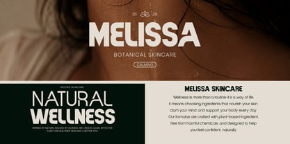 Vernosa Variable Font Poster 4