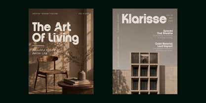 Vernosa Variable Font Poster 8