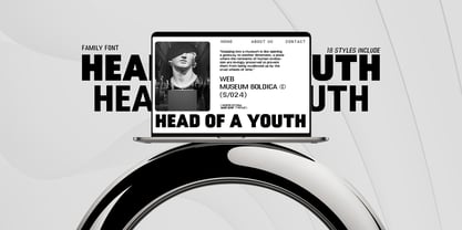 DTF Boldica Font Poster 7