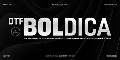 DTF Boldica Font Poster 1