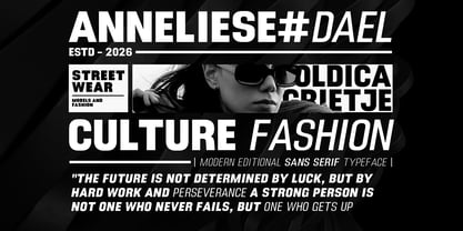 DTF Boldica Font Poster 2