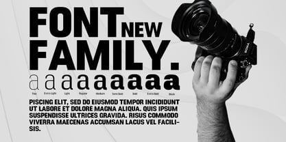 DTF Boldica Font Poster 12