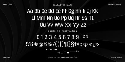 DTF Boldica Font Poster 11