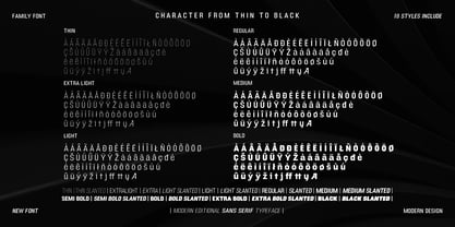 DTF Boldica Font Poster 5