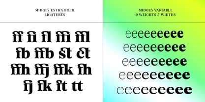 Midges Font Poster 7