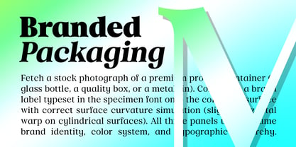 Midges Font Poster 13