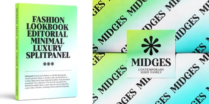 Midges Font Poster 3