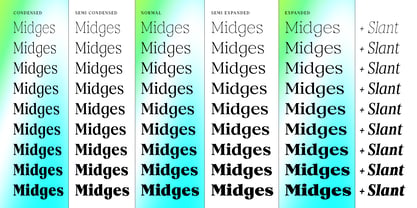 Midges Font Poster 8