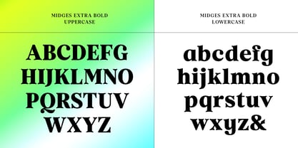 Midges Font Poster 6
