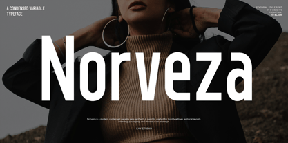 Norveza Font Poster 1