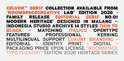 Celvor Edition Font Poster 6