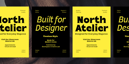Celvor Edition Font Poster 5