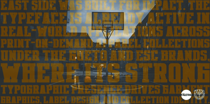 East Side Conexion Font Poster 4