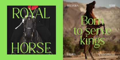 Relvora Font Poster 4