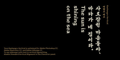 Yoon Gaehangro Font Poster 6