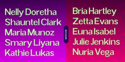 Radebin Font Poster 6