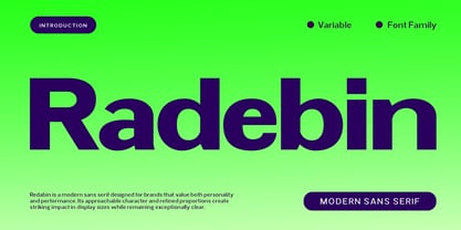Radebin Font Poster 1