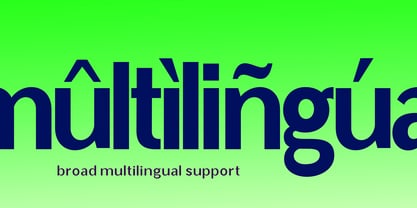 Radebin Font Poster 11