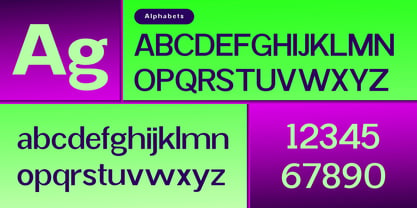 Radebin Font Poster 9