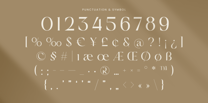 Orlian Font Poster 11