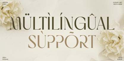 Orlian Font Poster 12
