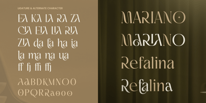 Orlian Font Poster 8