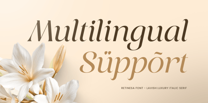 Retinesa Font Poster 12