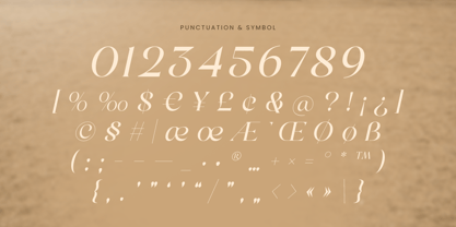 Retinesa Font Poster 11