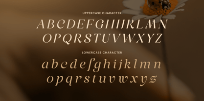 Retinesa Font Poster 10