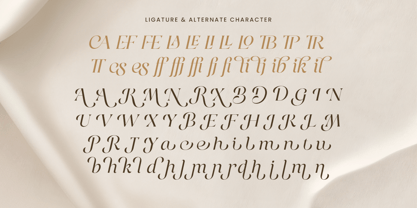 Retinesa Font Poster 9