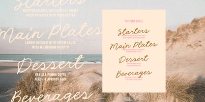 Mango Sunset Font Poster 4