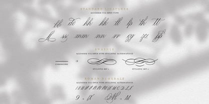 Scriptique Font Poster 14