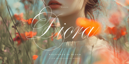 Scriptique Font Poster 8