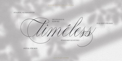 Scriptique Font Poster 2